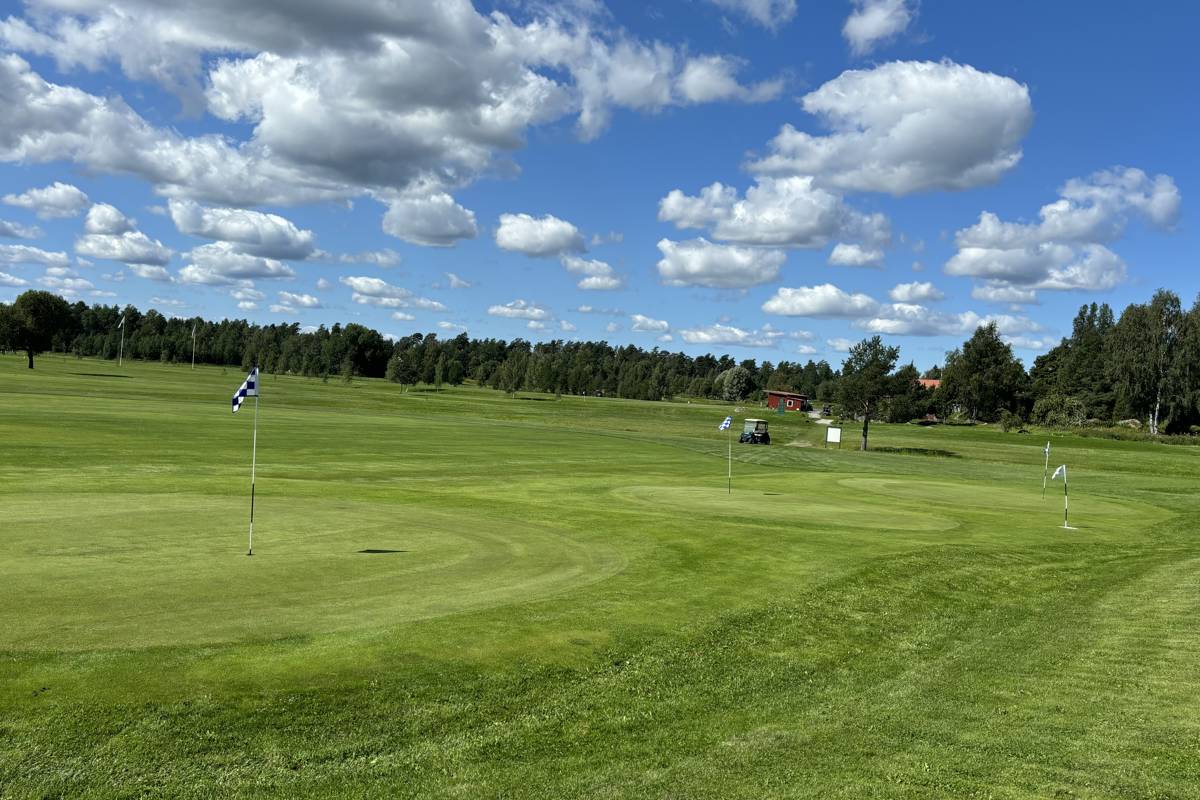 wedgeområde